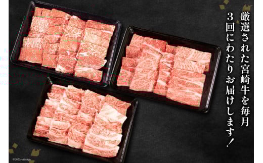 牛肉 定期便 3回 宮崎牛 バラエティAコース 計 1.3kg [ミヤチク 宮崎県 日向市 452061590] セット 冷凍 モモ 焼肉 牛肩ロース ロース バラ