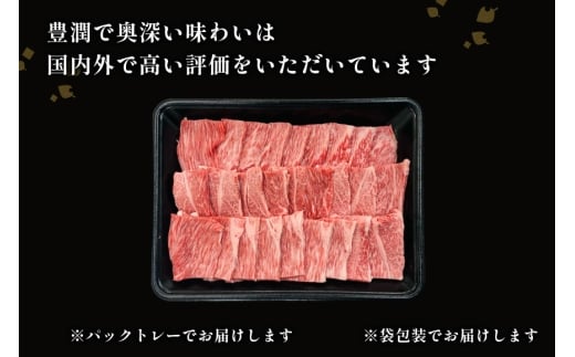 【畜産農家応援】 牛肉 焼肉 宮崎牛 ウデ 焼肉用 500g [ ミヤチク 宮崎県 日向市 452061598] 冷凍 内閣総理大臣賞 焼き肉 牛ウデ ウデ肉 黒毛 和牛 黒毛和牛 国産 国産牛肉 アウトドア BBQ キャンプ