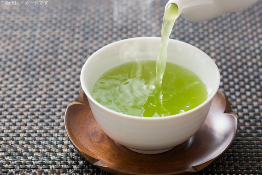 お茶 ティーバッグ 特撰 みやざき煎茶 3袋 セット [谷岩茶舗 宮崎県 日向市 452061642] ティーパック 茶 茶葉 緑茶 新茶 お茶の葉