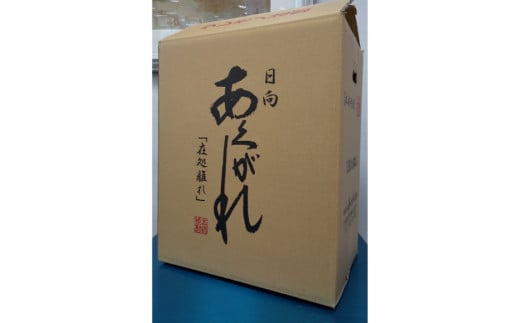 焼酎 芋 あくがれ白麹（1800ml×6本) [七福酒店 宮崎県 日向市 60-05] 甕壷 本格焼酎 白麹