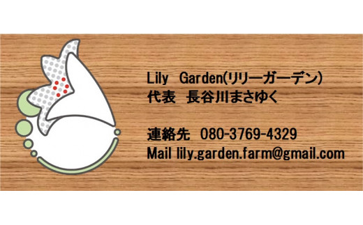【要・お申込前ご連絡】お庭のお手入れ(作業地：日向市内限定)《1日7時間程度》[85-01]