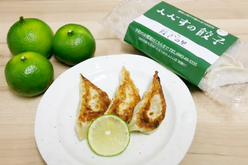 宮崎餃子 バラエティーセット 彩り・白・へべす 各15個 計45個 [餃子の里 宮崎県 日向市 452060985] 惣菜 餃子 ぎょうざ ギョウザ 専門店 食べ比べ 詰め合わせ セット 冷凍