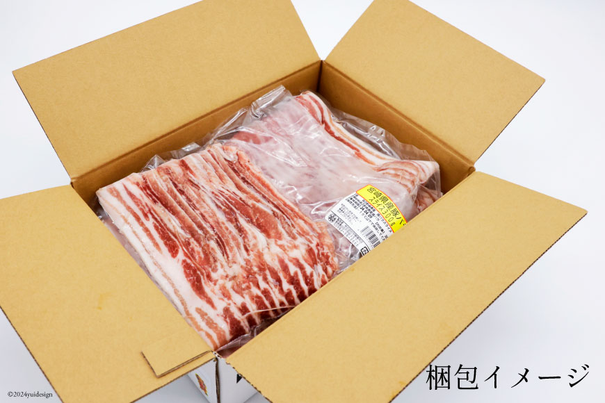 豚肉 スライス バラ肉 300g×5袋 計1.5kg [甲斐精肉店 宮崎県 日向市 452060535] 肉 お肉 精肉 豚 豚バラ 宮崎 国産 しゃぶしゃぶ 小分け 真空 冷凍