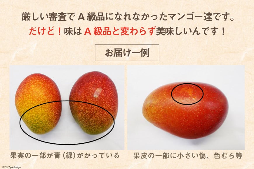 【2026年夏発送】「生産者応援・数量限定」 訳あり 宮崎 完熟 マンゴー 家庭用 3L 2玉 [宮崎県農業協同組合日向地区本部（販売課） 宮崎県 日向市 452061562] 果物 フルーツ 規格外 完熟マンゴー 甘い 日向 期間限定 冷蔵