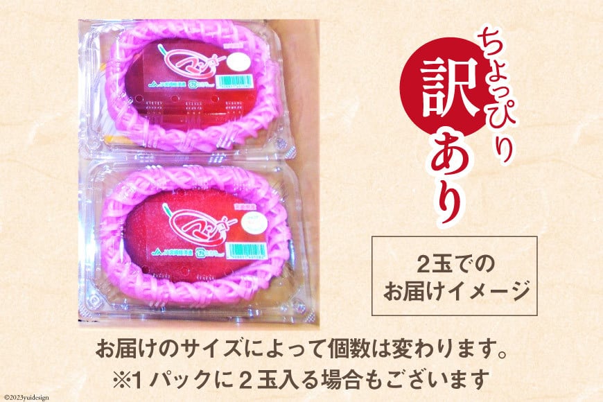 【2026年夏発送】 訳あり 宮崎 完熟 マンゴー 約 1kg [宮崎県農業協同組合日向地区本部（販売課） 宮崎県 日向市 452060659] 果物 フルーツ 規格外 家庭用 完熟マンゴー 甘い 日向 期間限定 冷蔵