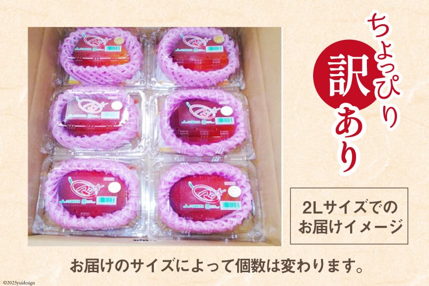 【2026年夏発送】 訳あり 宮崎 完熟 マンゴー 約 2kg [宮崎県農業協同組合日向地区本部（販売課） 宮崎県 日向市 452060660] 果物 フルーツ 規格外 家庭用 完熟マンゴー 甘い 日向 期間限定 冷蔵