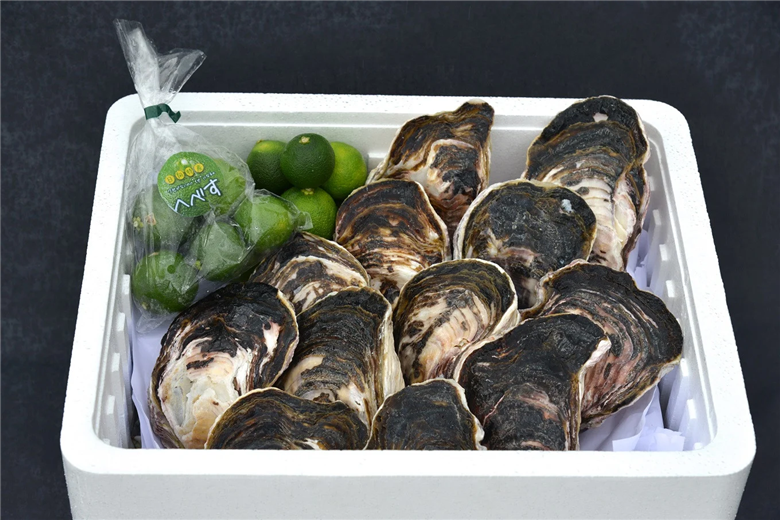 【期間限定発送】岩牡蠣 殻付き 細島 岩ガキ 約4kg 日向特産 へべす 500g セット [道の駅日向 宮崎県 日向市 452061391] いわがき 岩がき 牡蠣 日豊海岸 濃厚 クリーミー