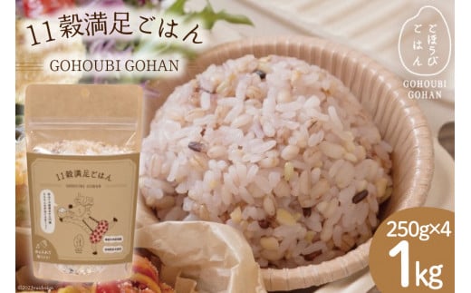 米 無洗米 11穀満足ごはん ごほうびごはん 250g×4 計 1kg [DANBO*DELI 宮崎県 日向市 452060022] 小分け 国産 ブレンド米 雑穀米 こめ コメ 雑穀