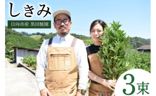 日向市産 しきみ [黒田樒園 宮崎県 日向市 452060139]