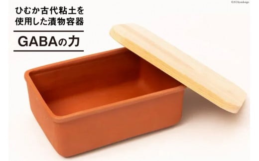 容器 漬け土器 GABAの力 約935g [黒木建設（ひむか古代粘土） 宮崎県 日向市 452060520] 石 漬物 糠漬け お手軽 古代粘土