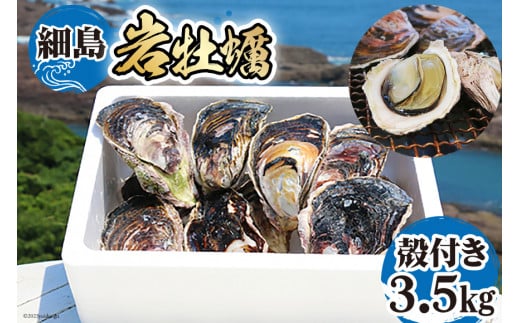 【期間限定発送】岩牡蠣 殻付き 細島 岩ガキ 約3.5kg [道の駅日向 宮崎県 日向市 452060570] いわがき 岩がき 牡蠣 日豊海岸 濃厚 クリーミー