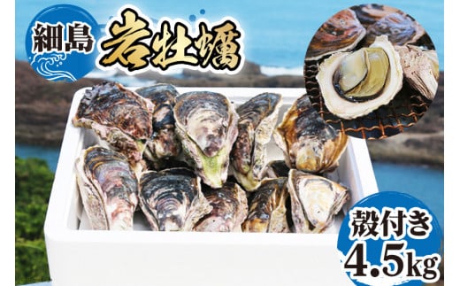 【期間限定発送】岩牡蠣 殻付き 細島 岩ガキ 約4.5kg [道の駅日向 宮崎県 日向市 452060571] いわがき 岩がき 牡蠣 日豊海岸 濃厚 クリーミー