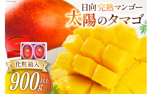 【2026年夏発送】 宮崎 完熟 マンゴー 太陽のタマゴ 秀品 900g以上 [宮崎県農業協同組合日向地区本部（販売課） 宮崎県 日向市 452060664] 果物 フルーツ 完熟マンゴー 甘い 日向 期間限定 冷蔵