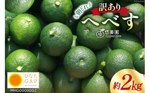 【期間限定発送】 へべす ひなたGAP認定 ふぞろい 2kg [へべすの悠美園 宮崎県 日向市 452060725] ヘベス 宮崎 果物 フルーツ くだもの 柑橘 ポン酢 調味料 果汁