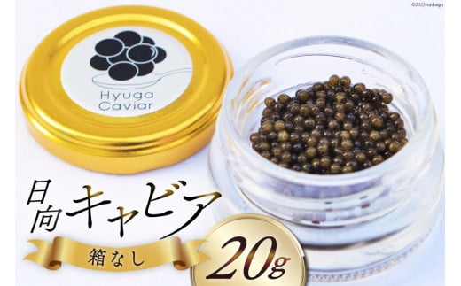 キャビア 日向キャビア (Hyuga Caviar) 20g 箱なし [ウィズ・クリエイティブ 宮崎県 日向市 452060891] 冷凍 宮崎 国産 チョウザメ フレッシュ 瓶