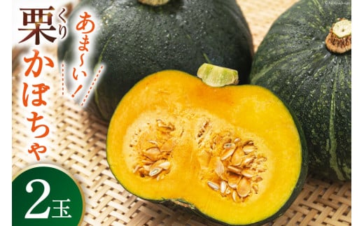 【期間限定発送】 野菜 栗カボチャ 2玉 [たくちゃんの野菜農園 宮崎県 日向市 452060909] かぼちゃ 南瓜 カボチャ 完熟 甘い ホクホク ほっこり133 ブラックのジョー 国産