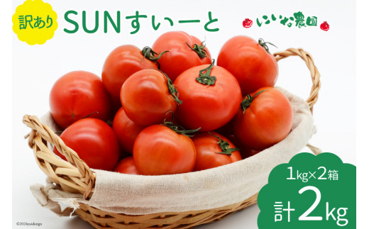 【期間限定発送】 訳あり トマト SUNすいーと 1kg×2箱 [にいな農園 宮崎県 日向市 452060917] 野菜 フルーツトマト 高糖度 甘い 不揃い 家庭用