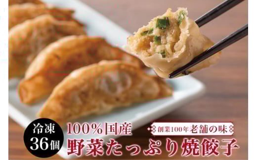 餃子 宮崎 上海花園 特製餃子 36個 [サニーガーデン 宮崎県 日向市 452061171] ぎょうざ 冷凍 おかず おつまみ 惣菜 ご飯のお供 小分け 個包装