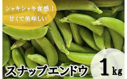 【期間限定発送】 野菜 スナップエンドウ 約1kg [盛光農園 宮崎県 日向市 452061219] スナックエンドウ 国産