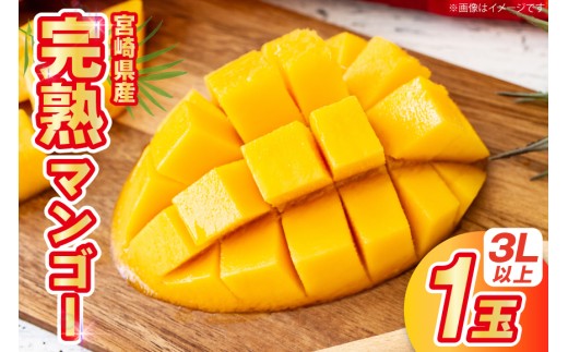 【期間限定発送】 マンゴー 宮崎県産 完熟マンゴー 3L 以上 1玉 [日向サンパーク 宮崎県 日向市 452061246] 宮崎 果物 フルーツ 甘い
