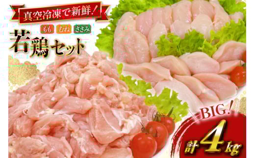 鶏肉 業務用 宮崎県産 若鶏 もも切身 300g 6p むね切身 300g 4p 筋なし ささみ 250g 4p 計4kg セット [TRINITY 宮崎県 日向市 452061336] 鶏もも肉 もも肉 鶏肉もも 鶏むね肉 むね肉 ササミ 冷凍 真空パック 詰め合わせ