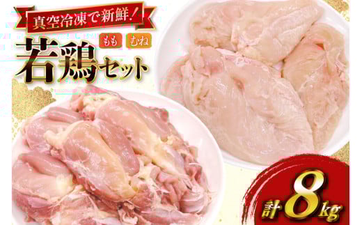 鶏肉 セット 宮崎県産 若鶏 もも身 むね身 各 1kg 4p 計8kg セット [TRINITY 宮崎県 日向市 452061338] 業務用 とり肉 もも もも肉 モモ モモ肉 鶏肉もも むね肉 むね ムネ肉 胸 宮崎 詰め合わせ 冷凍 肉