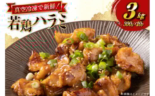 鶏肉 はらみ 宮崎県産 若鶏 ハラミ 300g 10p 計 3kg セット [TRINITY 宮崎県 日向市 452061343] 小分け 真空パック 小肉 鶏小肉 サガリ 貝の身