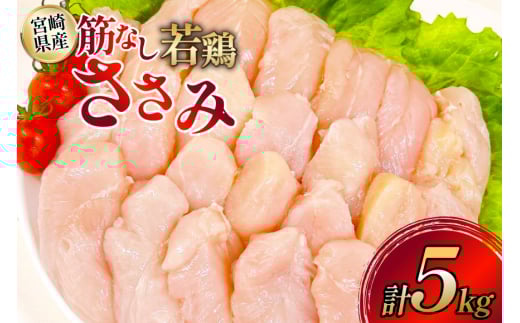 鶏肉 ささみ 宮崎県産 筋なし 若鶏ささみ 5kg セット [TRINITY 宮崎県 日向市 452061345] ササミ 鶏ささみ 鶏ササミ 小分け 冷凍 真空パック 個包装 宮崎 若鶏 国産