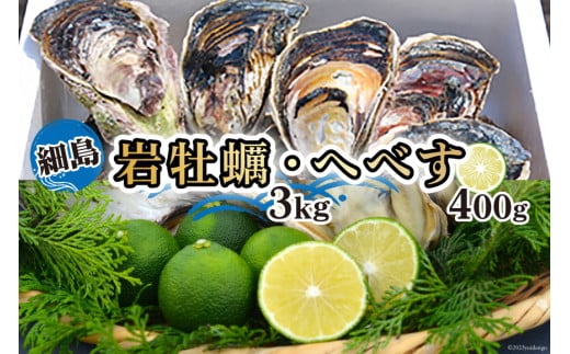 【期間限定発送】岩牡蠣 殻付き 細島 岩ガキ 約3kg 日向特産 へべす 400g セット [道の駅日向 宮崎県 日向市 452061390] いわがき 岩がき 牡蠣 日豊海岸 濃厚 クリーミー