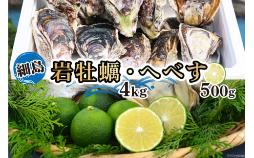 【期間限定発送】岩牡蠣 殻付き 細島 岩ガキ 約4kg 日向特産 へべす 500g セット [道の駅日向 宮崎県 日向市 452061391] いわがき 岩がき 牡蠣 日豊海岸 濃厚 クリーミー