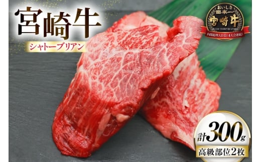 牛肉 宮崎牛 希少部位 シャトーブリアン 2枚 計300g [ローカルブランディング 宮崎県 日向市 452061396] 冷凍 黒毛和牛 黒毛 A4 A5 国産 ステーキ