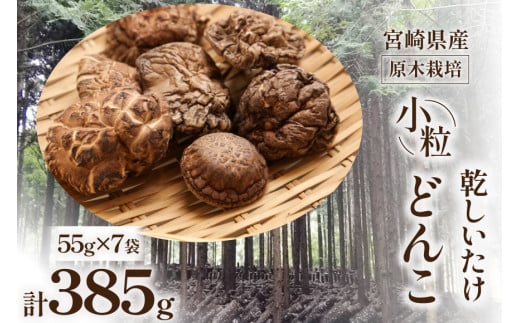 宮崎県産 原木栽培 乾しいたけ 小粒 どんこ 55g 7袋 計385g [本吉 宮崎県 日向市 452061460] しいたけ 椎茸 乾燥 干し 国産
