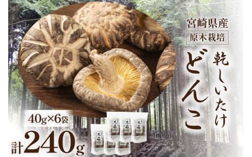 宮崎県産 原木栽培 乾しいたけ どんこ 40g 6袋 計240g [本吉 宮崎県 日向市 452061461] しいたけ 椎茸 乾燥 干し 国産