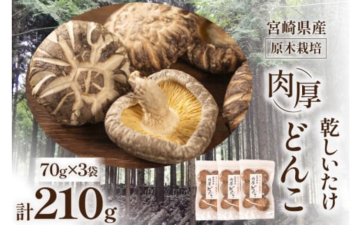 宮崎県産 原木栽培 乾しいたけ 肉厚 どんこ 70g 3袋 計210g [本吉 宮崎県 日向市 452061462] しいたけ 椎茸 乾燥 干し 国産