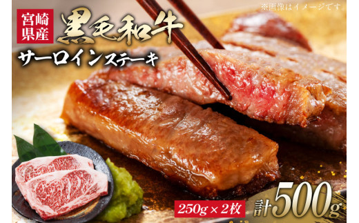 牛肉 黒毛和牛 宮崎産 サーロインステーキ(250g×2枚) 計500g [ウィズ・クリエイティブ 宮崎県 日向市 452061463] 和牛 肉 ステーキ サーロイン 冷凍 真空パック
