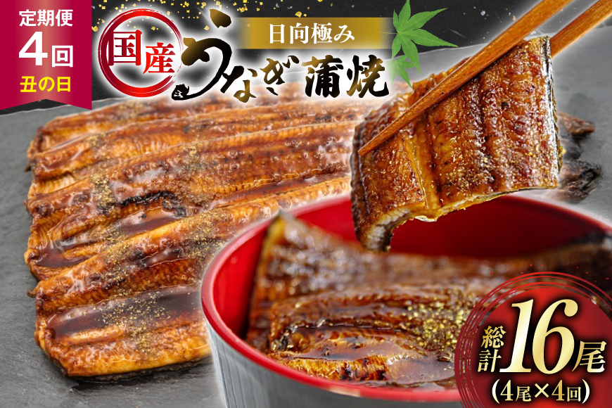 うなぎ 国産 【 丑の日 季節の定期便 】 日向極み うなぎ蒲焼 4尾 計480g [日向サンパーク 宮崎県 日向市 452061506] ギフト 小分け 真空パック 鰻 ウナギ うなぎの蒲焼 蒲焼 蒲焼き