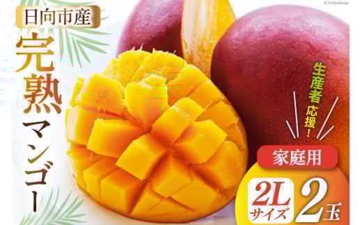 【2026年夏発送】「生産者応援・数量限定」 訳あり 宮崎 完熟 マンゴー 家庭用 2L 2玉 [宮崎県農業協同組合日向地区本部（販売課） 宮崎県 日向市 452061563] 果物 フルーツ 規格外 完熟マンゴー 甘い 日向 期間限定 冷蔵