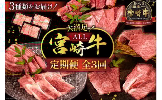 牛肉 定期便 3回 宮崎牛 バラエティAコース 計 1.3kg [ミヤチク 宮崎県 日向市 452061590] セット 冷凍 モモ 焼肉 牛肩ロース ロース バラ