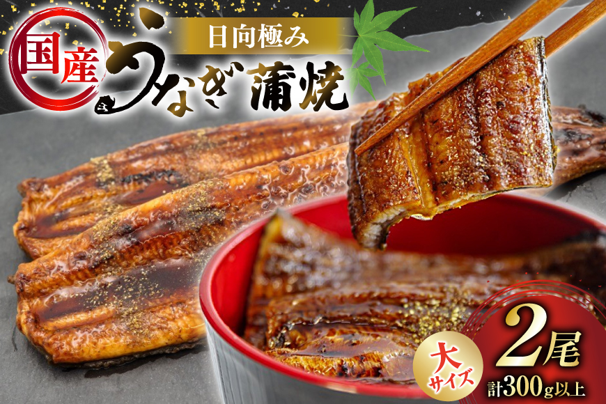 うなぎ 国産 日向極み うなぎ蒲焼 2尾 計300g以上 【たれ・山椒付き】 [日向サンパーク 宮崎県 日向市 452061636] ギフト 小分け 真空パック 鰻 ウナギ うなぎの蒲焼 蒲焼 蒲焼き