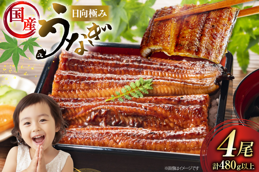 うなぎ 国産 日向極み うなぎ蒲焼 4尾 計480g以上 【たれ・山椒付き】 [日向サンパーク 宮崎県 日向市 452061501] ギフト 小分け 真空パック 鰻 ウナギ うなぎの蒲焼 蒲焼 蒲焼き