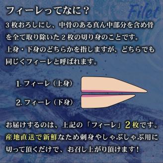 AG-CD2【先行予約】東京オリンピック供給資格「AEL(養殖エコラベル)」認証取得のカンパチ！活き〆プレミアムフィッシュ「e-かんぱち」フィーレ(お刺身約20人前)【マルエイ水産】