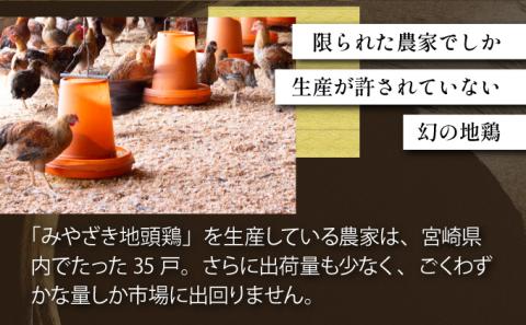 U-A3 《認定農家直送！》のびのびと育てたみやざき地頭鶏の生肉セット（計1kg・モモ肉300g×2P、ムネ肉200g×2P）炭焼、ソテー、鶏すき焼きに♪【権代ファーム】