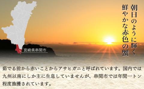 KU018 宮崎県串間産アサヒガニ(計約2kg・8～12匹)【合同会社Houryoumaru】