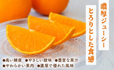 KU303 ≪数量限定≫ 順子姉さんのひっぱりだこ愛情せとか 2.5kg