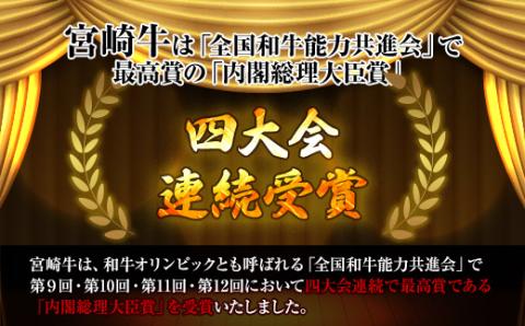 KU313 宮崎牛モモ焼肉と宮崎県産和牛小間切れセット 計500g