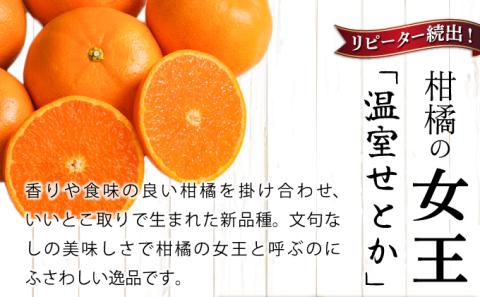 AD-AB1≪期間限定・先行予約≫　数量限定！訳あり 農林水産大臣賞受賞農園！ふるやさんちの温室せとか(約5kg・20～24玉※サイズ混合)【ふるやさんちのみかん園】