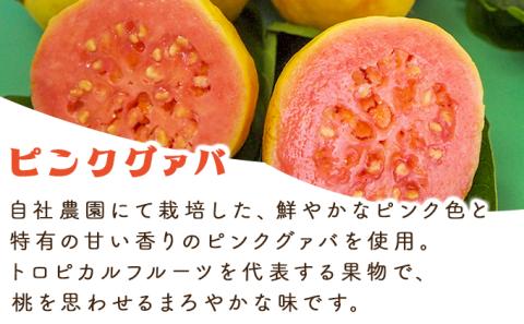 KU113 まるで果実を食べているような！グァバドリンク12本セット各720ml)【宮崎果汁】