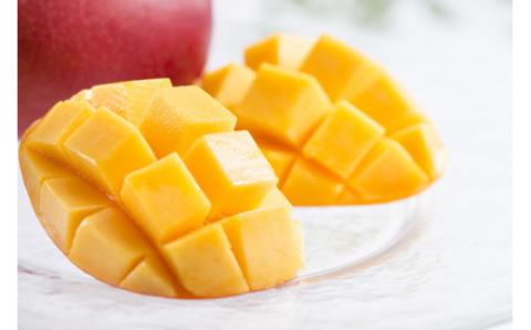 KU123 【定期便・全3回】あふれる果実感！マンゴー・日向夏ドリンク２本セット(各720ml)×3回【宮崎果汁】