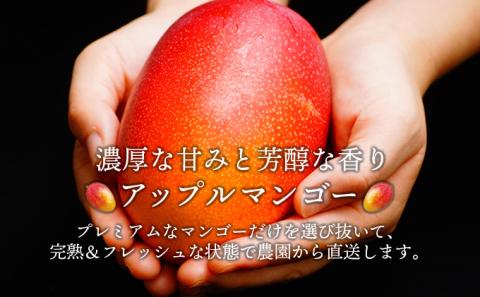 KU325 ＜先行予約＞【訳あり】宮崎完熟マンゴー(約1.8～2kg・大小混合3～5個) 【やました農園】
