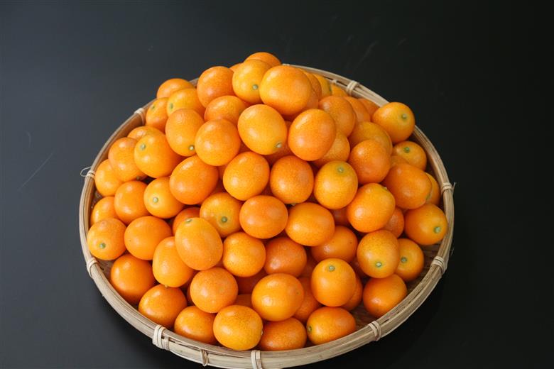 AA-C1 串間市産！完熟きんかん・たまたま（2L・計3kg）【串間市大束農業協同組合】